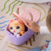 Little Live Pets: Mačička v košíku s mačiatkami