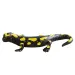Ohnivá salamandra hracia figúrka