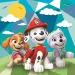 Paw Patrol Super color3 1-v-1 puzzle - Clementoni