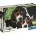 Roztomilé šteniatka HQC 500ks Compact puzzle - Clementoni