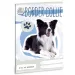 Roztomilé zvieratá - Border Collie kockovaný zošit A/5