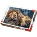 Spiaci lev 1000 ks Premium puzzle - Trefl