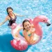 Trblietavý plameniak nafukovacie koleso na plávanie 99x89x71cm - Intex