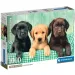 Tri malí labradori 1000 ks HQC puzzle s plagátom - Clementoni