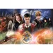 Wizarding World: Záhadný Harry Potter 300ks puzzle - Trefl