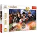 Wizarding World: Záhadný Harry Potter 300ks puzzle - Trefl